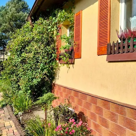 Sloneczny * دوشنيكي زدروي